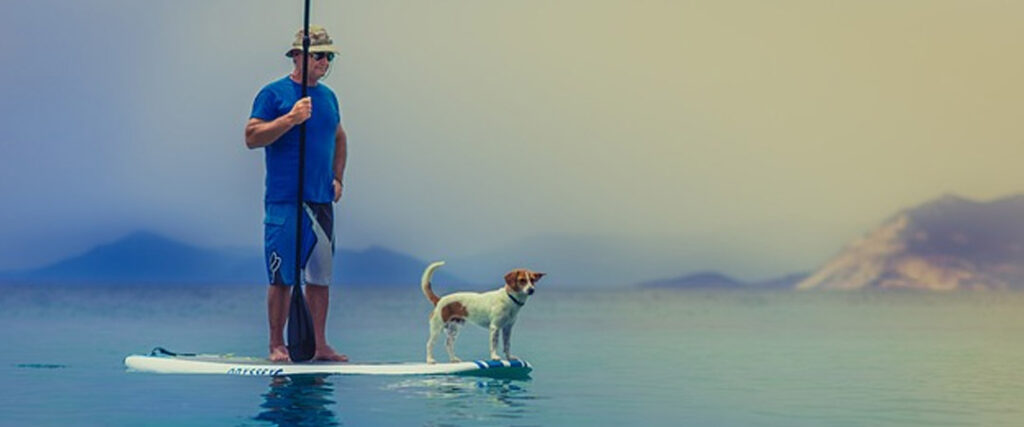 standup paddleboarding, man, dog
