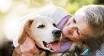 Dogs are the Perfect Pets for Retirement