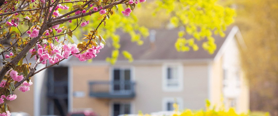 The Rise of Green Retirement