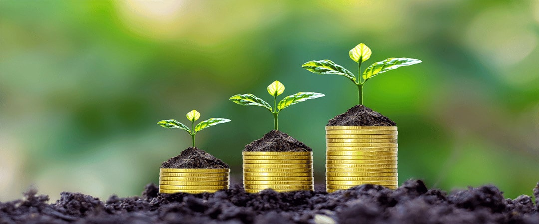 The Benefits of Holding Liquid Assets