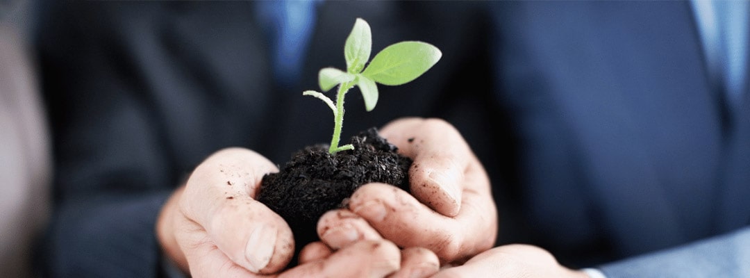 Benefits of Conservative Investment Strategies