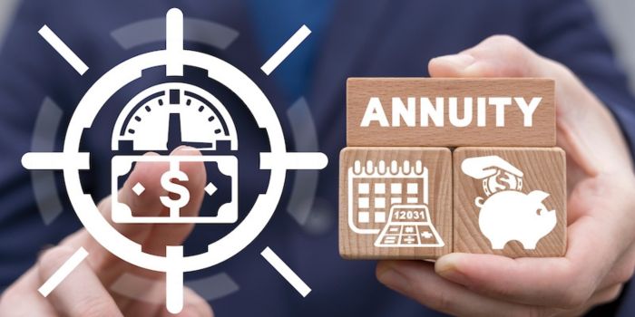The Role of Annuities in Retirement