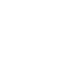 MSFS
